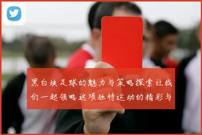 黑白块足球的魅力与策略探索让我们一起领略这项独特运动的精彩与乐趣