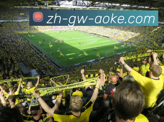 aokeAPP 高清赛事图